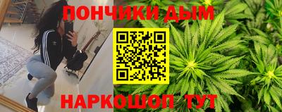 индика Новокубанск