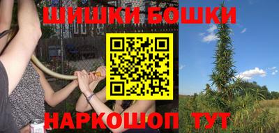 соль ск Новозыбков