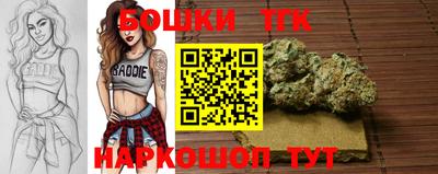 индика Новокубанск